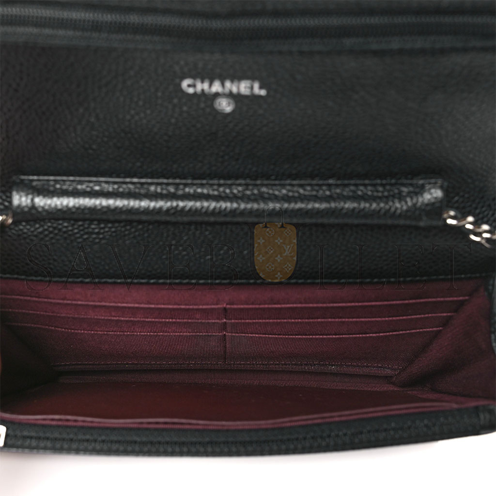 CHANEL CLASSIC WALLET ON CHAIN SILVER HARDWARE  AP0250 Y01480 C3906 （19.2*12.3*3.5cm）